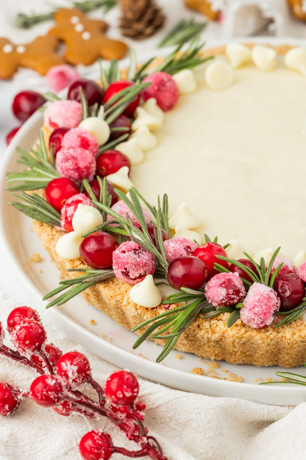 Cranberries and white chocolate chips on top of a Christmas cranberry tart.
