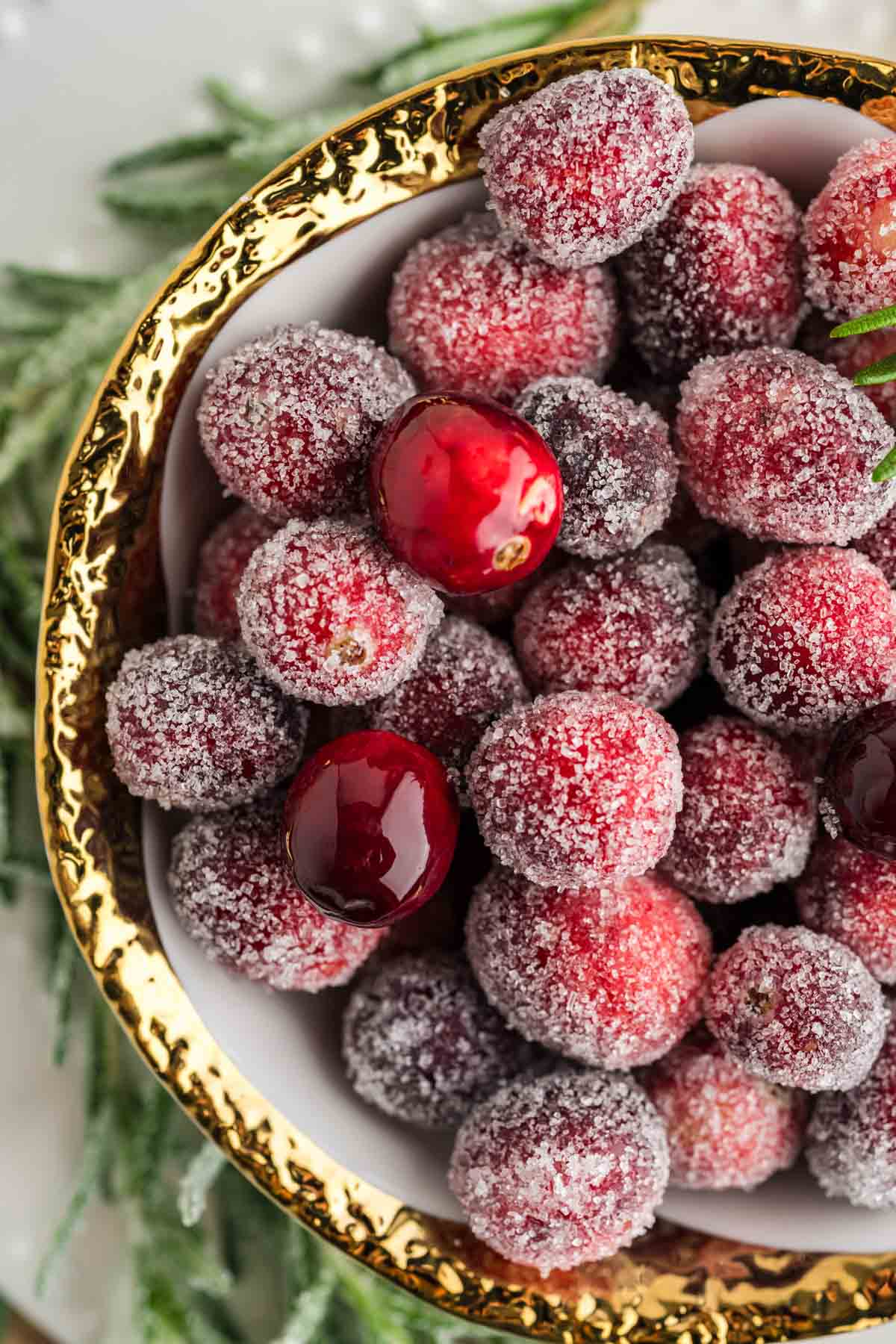 An up close image showing sugared cranberries with the sugar dried onto the fresh cranberries.