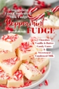 Peppermint fudge image of a plate full with the ingredients listed on the image.