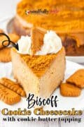 Biscoff Cookie CHeesecake slice is plated on a white plate and garnished with whipped cream and a Lotus cookie.