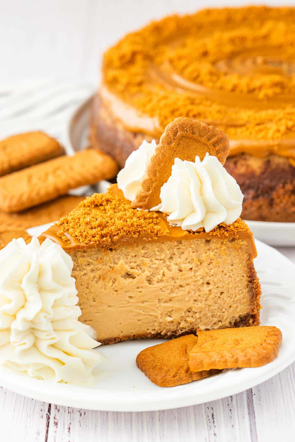 A slice of Biscoff Cheesecake topped with whipped cream on a white plate.