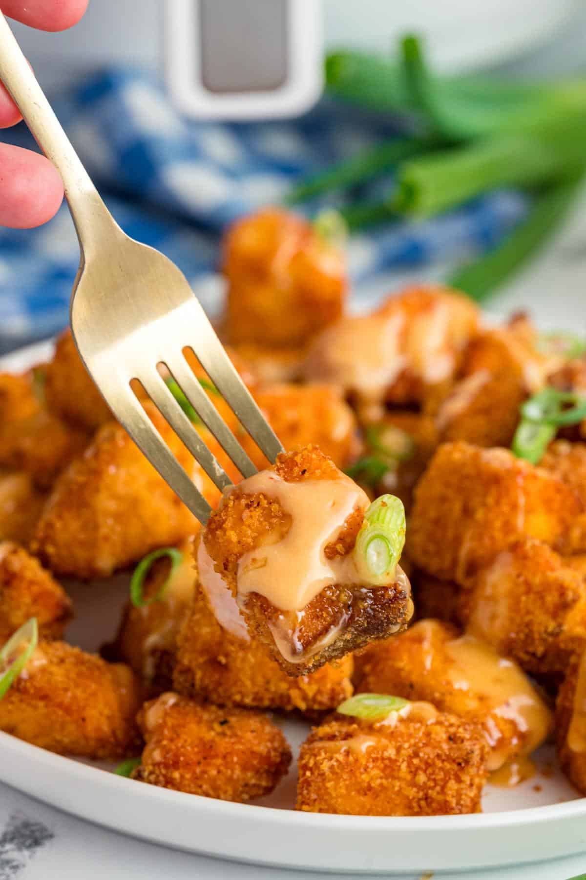 Salmon bites on a white plate being picked up with a fork.
