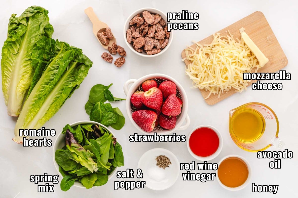 Labeled ingredients needed to make strawberry pecan salad with mozarella and honey viniagrette.
