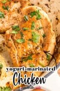 Yogurt Marinated Chicken close up image pin 2.
