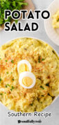 Southern Potato Salad Recipe Pinterest Image