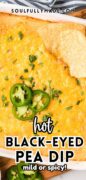 Hot \Black eyed peas dip is topped with cheese and jalapeno slices.