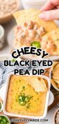 Cheesy Black eyed pea dip is here in a 2 image collage showing a serving on a plate and the entire casserole dish full and topped with cheese.