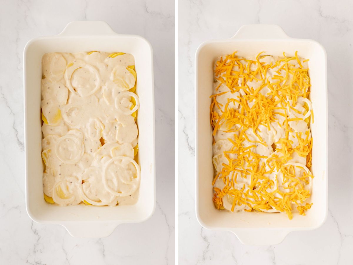 Layering the cream sauce with shredded cheese on top of the slices potatoes and onions.