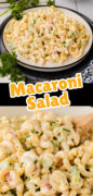 Macaroni Salad Recipe Pinterest image