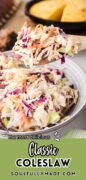 classic coleslaw recipe pinterest image