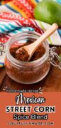 Elote Seasoning Spice Blend recipe Pinterest image
