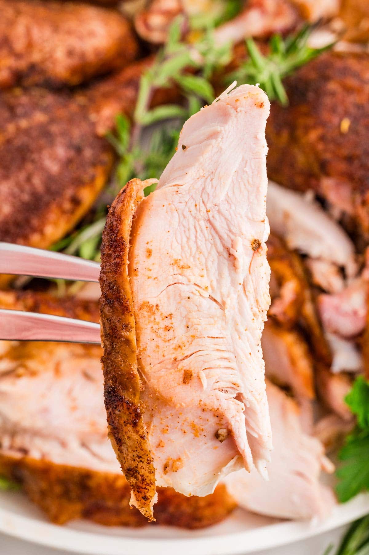 Close up of a piece of smoked turkey on a fork with more turkey in the background.
