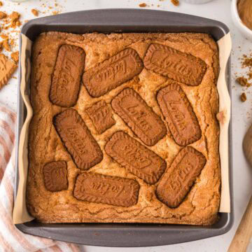 Biscoff blondies baked in a baking dish lined with parchment.