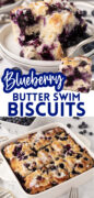 Blueberry Butter Swim Biscuits pinterest image