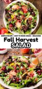Fall Harvest Apple, Pear and Feta Salad Recipe Pinterest image