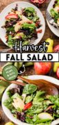 Fall Harvest Apple, Pear and Feta Salad Recipe Pinterest image