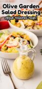 Copycat Olive Garden Salad Dressing Pinterest image