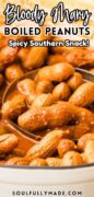 Bloody Mary Boiled Peanuts recipe Pinterest image