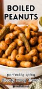 Bloody Mary Boiled Peanuts recipe Pinterest image