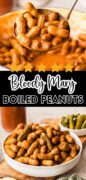 Bloody Mary Boiled Peanuts recipe Pinterest image