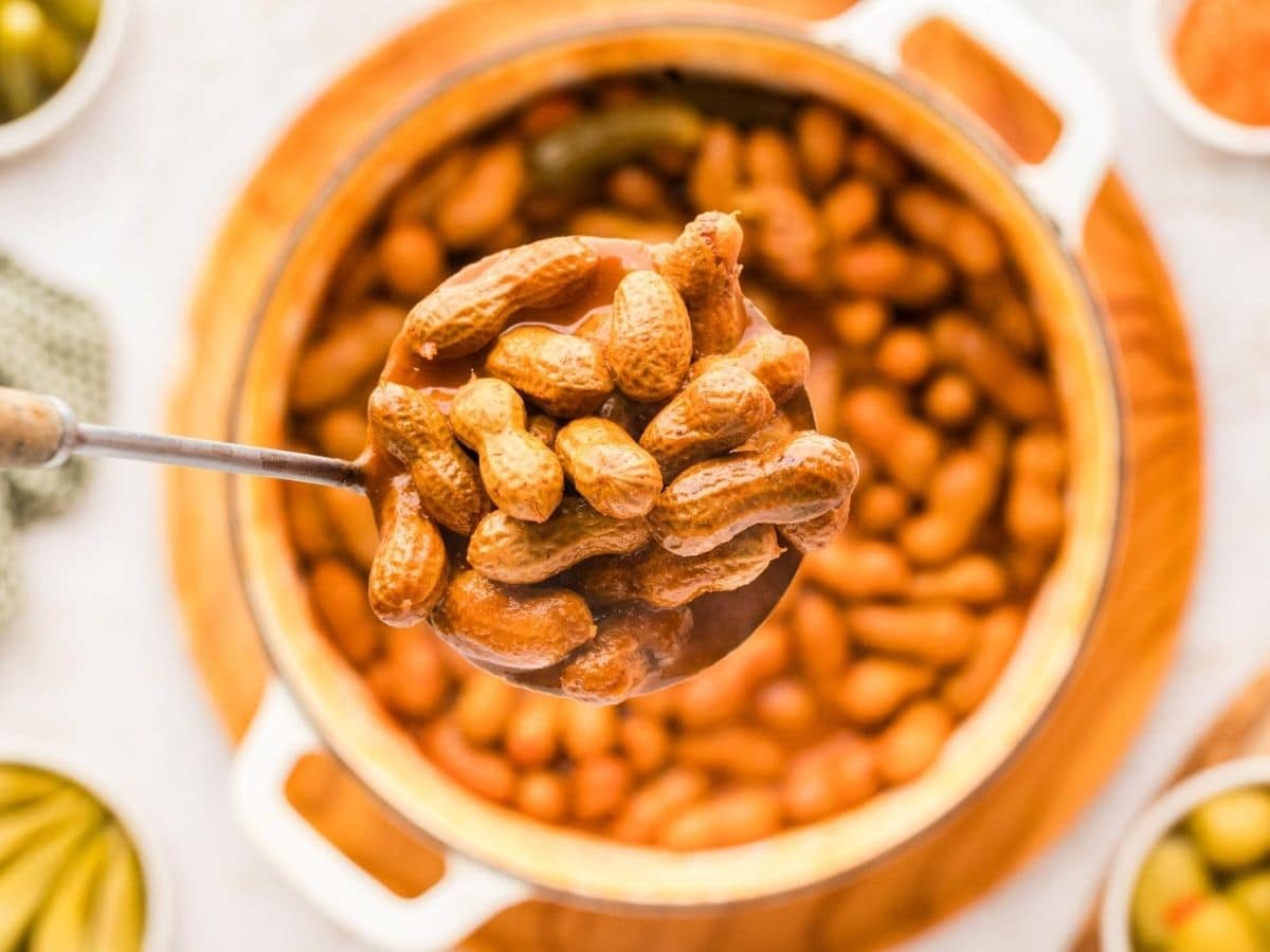 A ladle scooping out bloody mary boiled peanuts for a pot.