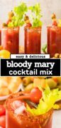 Bloody Mary Mix Recipe Pinterest Image