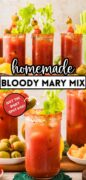 Bloody Mary Mix Recipe Pinterest Image