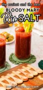Bloody Mary Rim Salt Seasoning Blend recipe Pinterest image