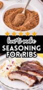 Rib Dry Rub Spice Mix Seasoning Blend recipe Pinterest image