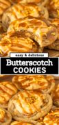 Harry Potter Inspired Butterscotch Cookies recipe Pinterest image