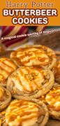 Harry Potter Inspired Butterscotch Cookies recipe Pinterest image