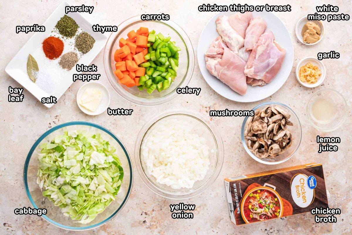 Ingredients needed to make chicken cabbage soup.