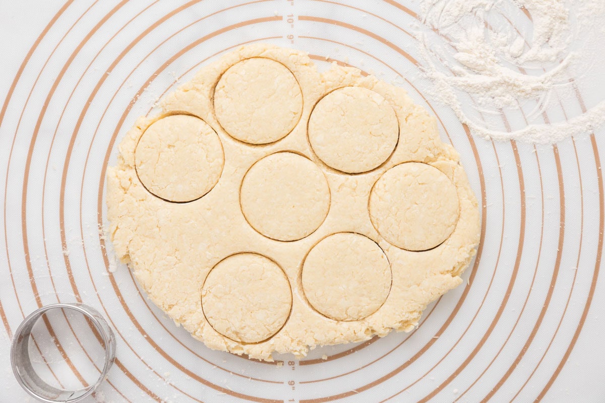 English scone dough cut into circles with a biscuit cutter.