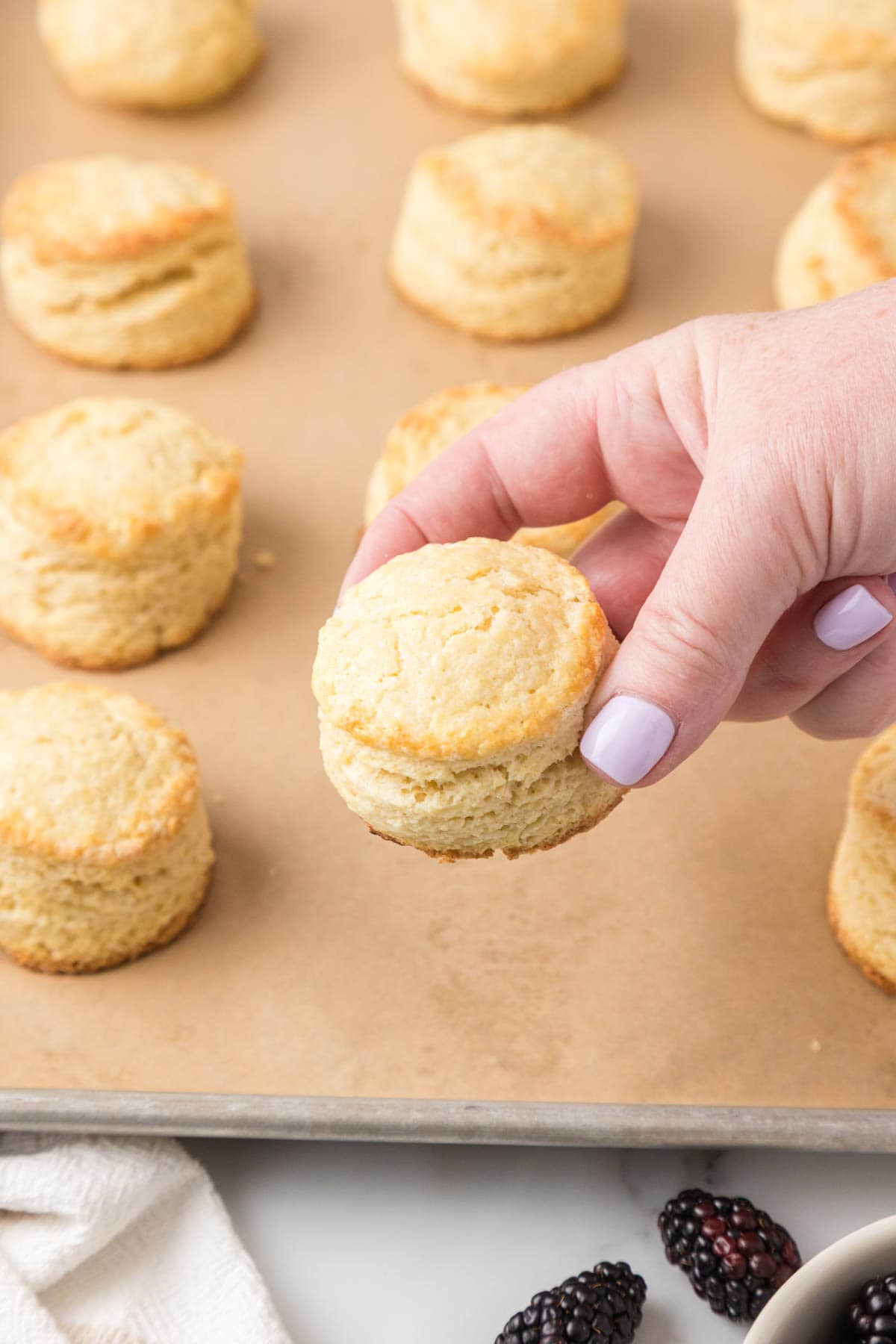 Hand holding an English scone with more on a sheet pan in the background.