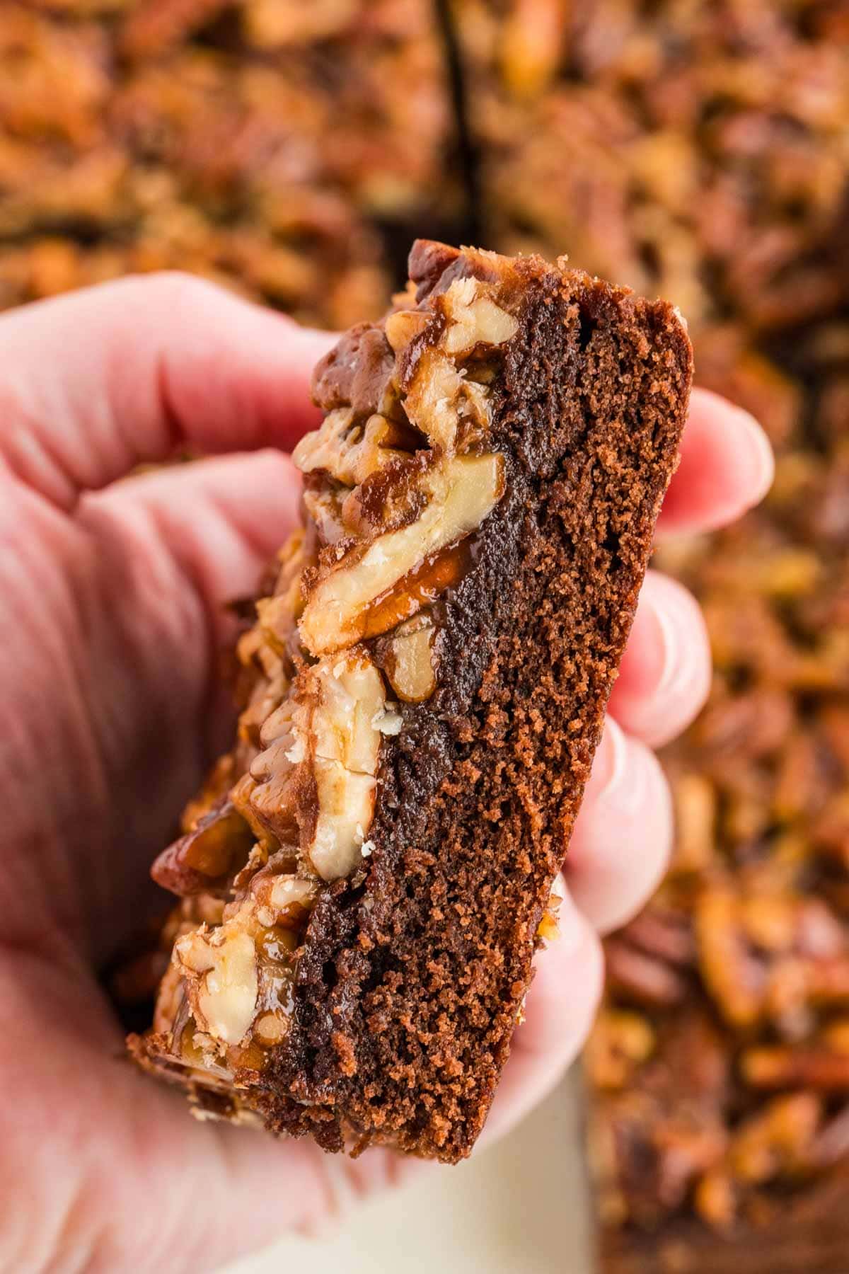 Hand holding a pecan pie brownie to the side to show the layers.