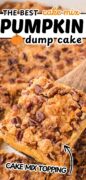 Pumpkin Dump Cake recipe Pinterest image