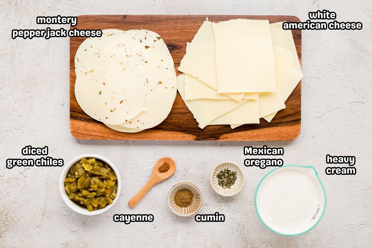 Ingredients needed to make white queso dip.